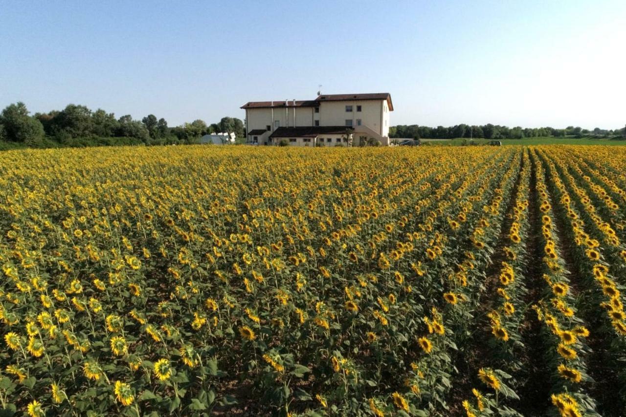 Vila Al Cavaliere Pordenone Exteriér fotografie